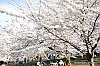 Ostern im Centralpark