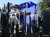 Majorelle Blau